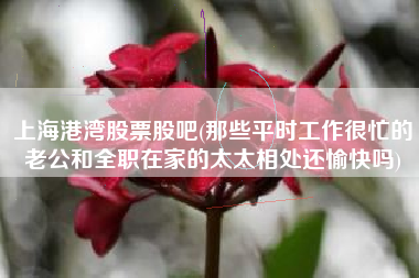 详细阅读:上海港湾股票股吧(那些平时工作很忙的老公和全职在家的太太相处还愉快吗) 上海港湾股票股吧(那些平时工作很忙的老公和全职在家的太太相处还愉快吗)