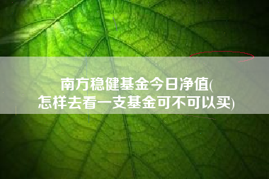 南方稳健基金今日净值(
怎样去看一支基金可不可以买)