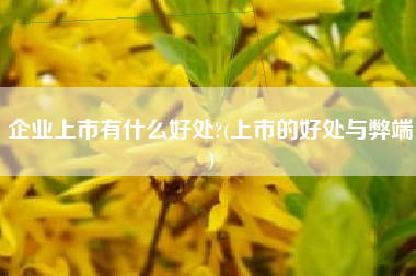 企业上市有什么好处?(上市的好处与弊端)