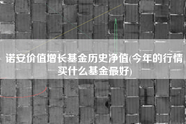 诺安价值增长基金历史净值(今年的行情买什么基金最好)