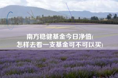 南方稳健基金今日净值(
怎样去看一支基金可不可以买)