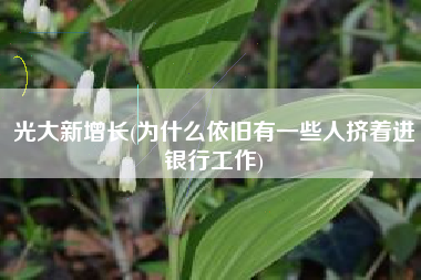光大新增长(为什么依旧有一些人挤着进银行工作)
