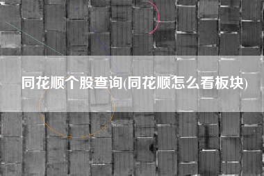 同花顺个股查询(同花顺怎么看板块)