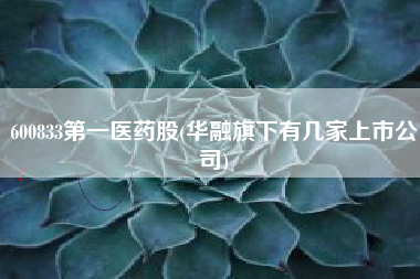 600833第一医药股(华融旗下有几家上市公司)