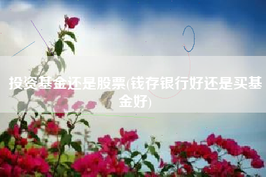 投资基金还是股票(钱存银行好还是买基金好)