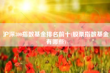 沪深300指数基金排名前十(股票指数基金有哪些)