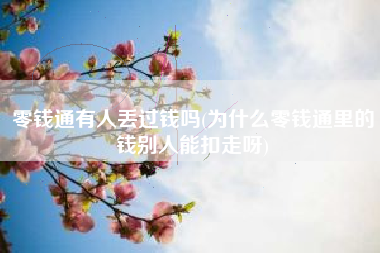 零钱通有人丢过钱吗(为什么零钱通里的钱别人能扣走呀)