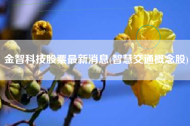 金智科技股票最新消息(智慧交通概念股)