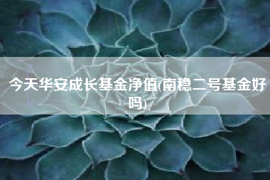 今天华安成长基金净值(南稳二号基金好吗)