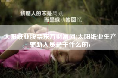 太阳纸业股票东方财富网(太阳纸业生产辅助人员是干什么的)