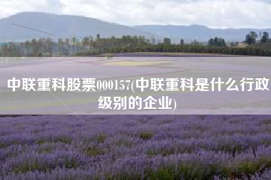 中联重科股票000157(中联重科是什么行政级别的企业)
