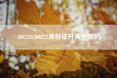 300223(300223身份证开头是哪的)