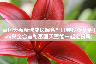 详细阅读:富国天惠精选成长混合型证券投资基金(lof)(兴全合宜和富国天惠能一起定投吗) 富国天惠精选成长混合型证券投资基金(lof)(兴全合宜和富国天惠能一起定投吗)