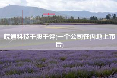 皖通科技千股千评(一个公司在内地上市后)