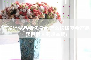广发消费品精选混合(怎么选择基金产品获得最大的收益呢)