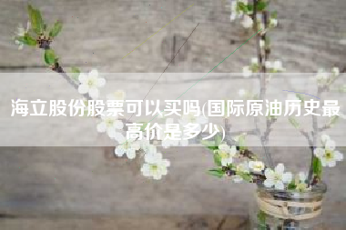 海立股份股票可以买吗(国际原油历史最高价是多少)
