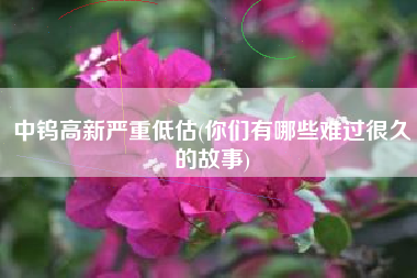 中钨高新严重低估(你们有哪些难过很久的故事)