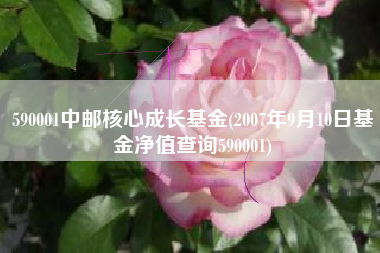 详细阅读:590001中邮核心成长基金(2007年9月10日基金净值查询590001) 590001中邮核心成长基金(2007年9月10日基金净值查询590001)