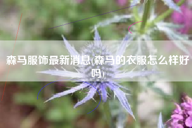 详细阅读:森马服饰最新消息(森马的衣服怎么样好吗) 森马服饰最新消息(森马的衣服怎么样好吗)