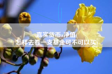 嘉实货币a净值(
怎样去看一支基金可不可以买)