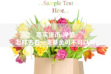 嘉实货币a净值(
怎样去看一支基金可不可以买)