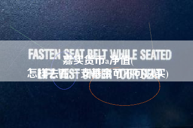 嘉实货币a净值(
怎样去看一支基金可不可以买)