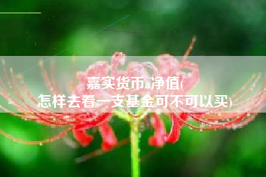 嘉实货币a净值(
怎样去看一支基金可不可以买)