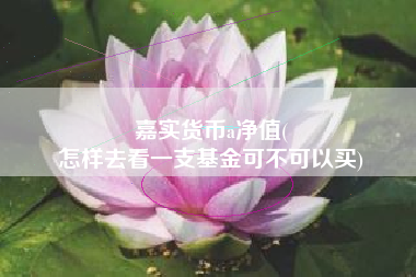 嘉实货币a净值(
怎样去看一支基金可不可以买)