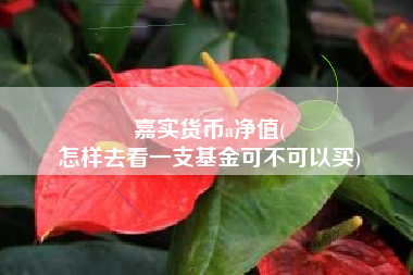 嘉实货币a净值(
怎样去看一支基金可不可以买)