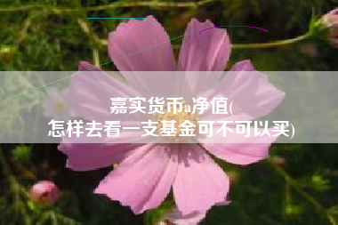 嘉实货币a净值(
怎样去看一支基金可不可以买)