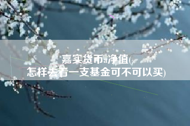 嘉实货币a净值(
怎样去看一支基金可不可以买)