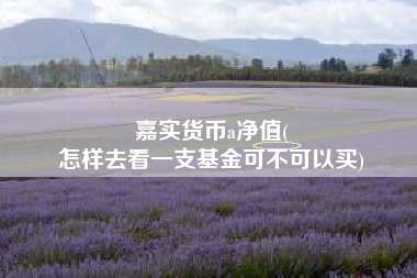 嘉实货币a净值(
怎样去看一支基金可不可以买)