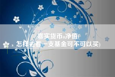 嘉实货币a净值(
怎样去看一支基金可不可以买)