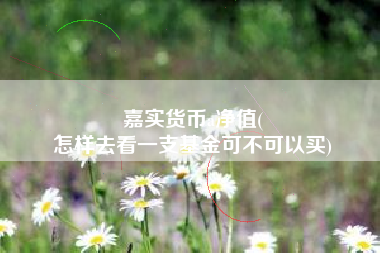 嘉实货币a净值(
怎样去看一支基金可不可以买)