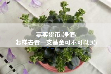 嘉实货币a净值(
怎样去看一支基金可不可以买)