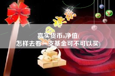 嘉实货币a净值(
怎样去看一支基金可不可以买)