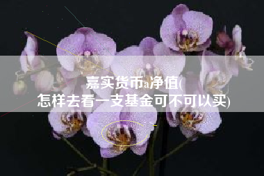 嘉实货币a净值(
怎样去看一支基金可不可以买)