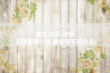 嘉实货币a净值(
怎样去看一支基金可不可以买)