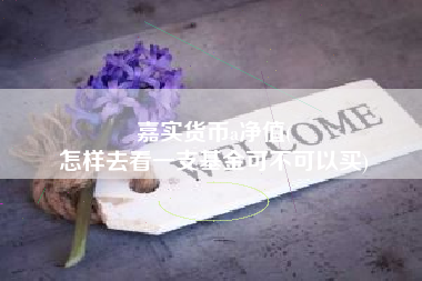 嘉实货币a净值(
怎样去看一支基金可不可以买)