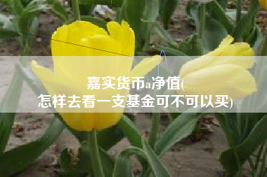 嘉实货币a净值(
怎样去看一支基金可不可以买)