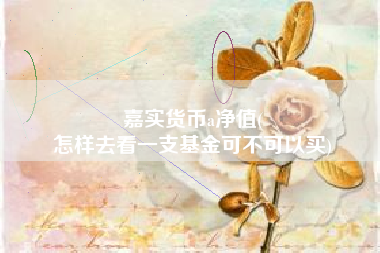 嘉实货币a净值(
怎样去看一支基金可不可以买)