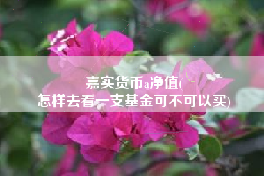 嘉实货币a净值(
怎样去看一支基金可不可以买)