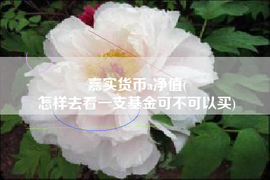 嘉实货币a净值(
怎样去看一支基金可不可以买)