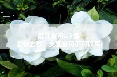 嘉实货币a净值(
怎样去看一支基金可不可以买)