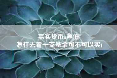 嘉实货币a净值(
怎样去看一支基金可不可以买)