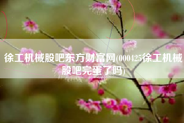 徐工机械股吧东方财富网(000425徐工机械股吧完蛋了吗)