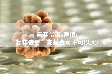 嘉实货币a净值(
怎样去看一支基金可不可以买)