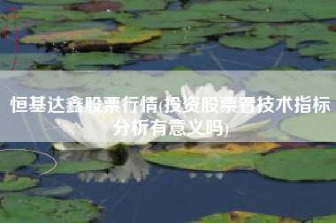 恒基达鑫股票行情(投资股票看技术指标分析有意义吗)