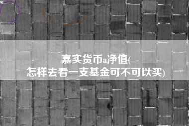 嘉实货币a净值(
怎样去看一支基金可不可以买)