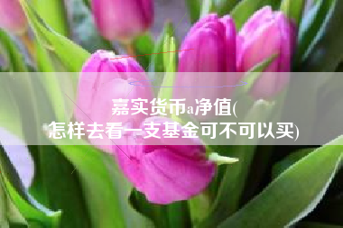 嘉实货币a净值(
怎样去看一支基金可不可以买)